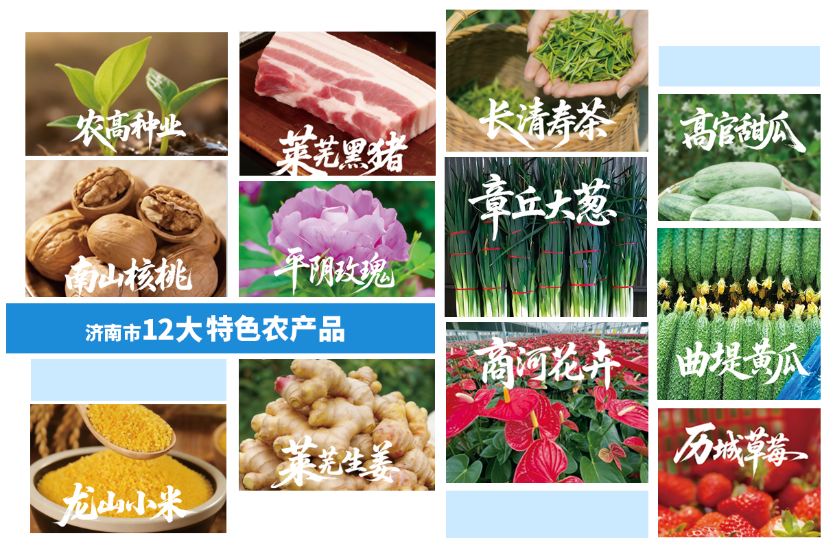 名单